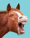 WHAT'S UP WITH...HOARSENESS WHAT'S UP WITH...HOARSENESS