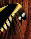 The Truth About HAIR GROWTH Products The Truth About HAIR GROWTH Products