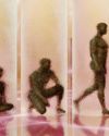 Rapid Evolution Rapid Evolution