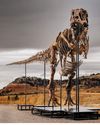 FOSSILS’ FUEL