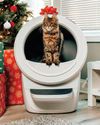 Pamper Your Pets