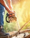 CHAINSAW BASICS CHAINSAW BASICS