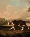 DOGGED