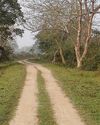 গন্ডারের ডেরায় Saptahik Bartaman