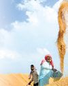 India's Grain Surplus: A Paradox of Plenty Amidst Policy Paralysis17