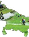 Agriculture remains the growth driver of Uttar Pradesh Agriculture remains the growth driver of Uttar Pradesh8