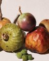 Los Sabores oovitos Los Sabores oovitos7