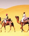 Rajasthan The Land of Kings