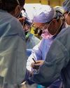 Are pigs the future of organ transplants?2