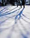 What winter gives back9