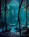 THE OCEAN UNDERSTORY20