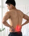 UNDERSTANDING LOW BACK PAIN