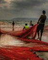 STRENGTHENING THE BACKBONE OF COASTAL GOA8