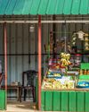 GOA MARKETS GO SUSTAINABLE HOW GREEN PRACTICES ARE TAKING ROOT IN LOCAL COMMERCE14