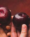 KOKUM - GOA'S TANGY JEWEL SUPERFRUIT KOKUM - GOA'S TANGY JEWEL SUPERFRUIT26
