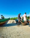 MIGRATION AND MODERN GOA10