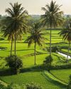 Incredible Goa