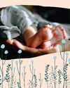 The First Imprint: Understanding PTSD The First Imprint: Understanding PTSD