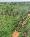 GREENING THE FUTURE: Science, Care, and Sustainability Heartfulness eMagazine