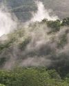 Catching Frogs in the Clouds