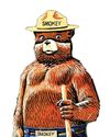 FIRE DANGER Muse Science Magazine for Kids