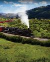 RELIVE THE GOLDEN AGE OF WESTERN RAILROADS RELIVE THE GOLDEN AGE OF WESTERN RAILROADS