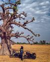 xBhp