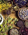 India and Indonesia ink MoU in the field of traditional medicine