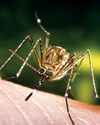 BioSpectrum Asia