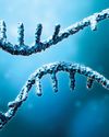 The Future of mRNA Is Being Built in APAC34