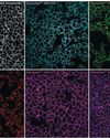BioSpectrum Asia