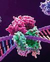 First Promega companion diagnostic receives China's NMPA approval47