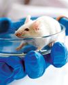 BioSpectrum Asia