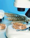 India Emerging As ‘Food Testing Hub' For SE Asia