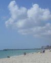 Miami Beach Bans Smoking Cannabis in Public