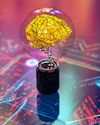 THE QUANTUM ECONOMY1