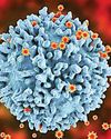 New technology for unambiguous detection of HIV genome using tailored fluorogenic tests