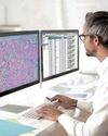 IIIT Hyderabad and NIMS create pathology datasets for cancer & kidney disease