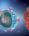 India-Japan Synergies in CAR-T and ADCs17