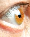 Vgenomics and Dr. Shroff's Eye Hospital jointly develop unique biomarker to detect Keratoconus11