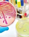 BIRAC inks Letter of Intent with Global Antibiotic Research & Development Partnership3