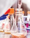 NEB releases EnClose Cell free dbDNA Synthesis Kit in collaboration with Touchlight Bio Spectrum