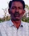 खेती और मधुमक्खी पालन से सफलता का इतिहास रचने वाले सफल किसान अशोक कुमार शर्मा10