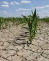 2030 तक बढ़ेगा गर्मी का कहर...5