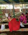 आधुनिक खेती अपनाकर तरक्की की राह पर चलने वाले सफल किसान6
