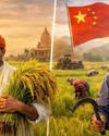 चावल उत्पादन में भारत पिछड़ा1