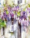 Wisteria IN WATERCOLOUR