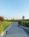 CAN GREEN ROOFS AND VERTICAL GARDENS REDEFINE COMMERCIAL ARCHITECTURE?