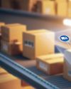 Procurement Rewired