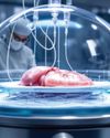 NEW TECHNOLOGIES FOR ORGAN PRESERVATION IN INDIA: SAVING LIVES AND MOVING SCIENCE FORWARD12